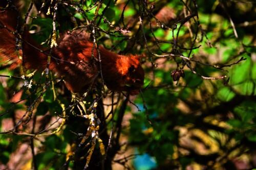 IMG_8201.jpeg